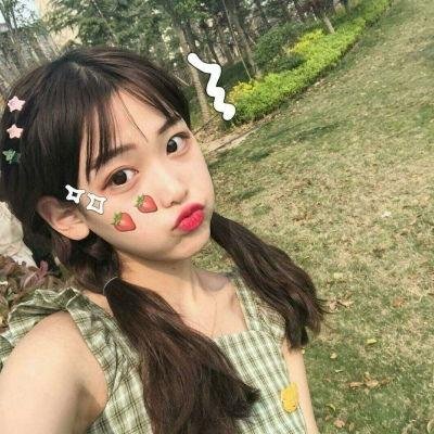 枝头凤